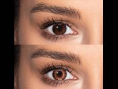 TopVue Color daily - Brown - zerówki (10 soczewek)