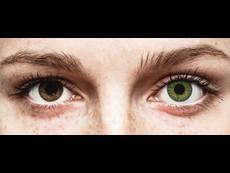 TopVue Color daily - Green - korekcyjne (10 soczewek)
