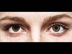 FreshLook One Day Color Grey - zerówki (10 soczewek)