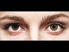 FreshLook One Day Color Pure Hazel - zerówki (10 soczewek)