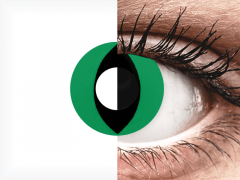 CRAZY LENS - Cat Eye Green - jednodniowe zerówki (2 soczewki)