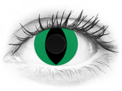 CRAZY LENS - Cat Eye Green - jednodniowe zerówki (2 soczewki)
