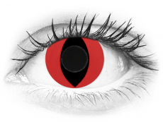 CRAZY LENS - Cat Eye Red - jednodniowe zerówki (2 soczewki)