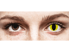 CRAZY LENS - Cat Eye Yellow - jednodniowe zerówki (2 soczewki)